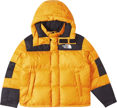 Зимняя куртка
NORTH FACE Urban
Exploration